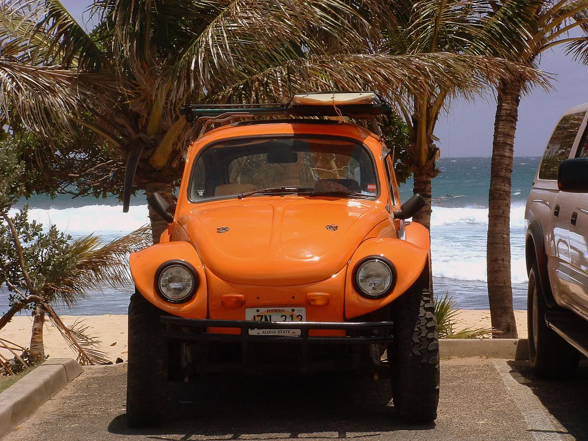 1969 Volkswagen Baja Bug